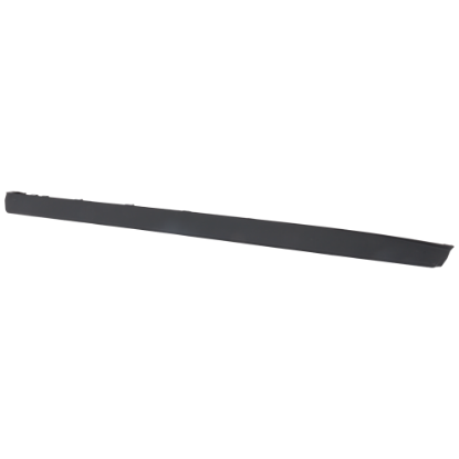 Picture of Door Molding and Beltlines