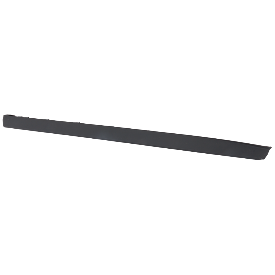 Picture of Door Molding and Beltlines