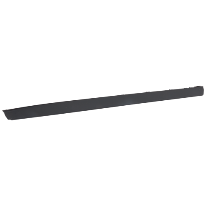 Picture of Door Molding and Beltlines