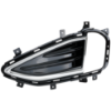 Picture of Fog Light Trim