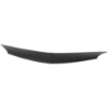 Picture of Hood Molding