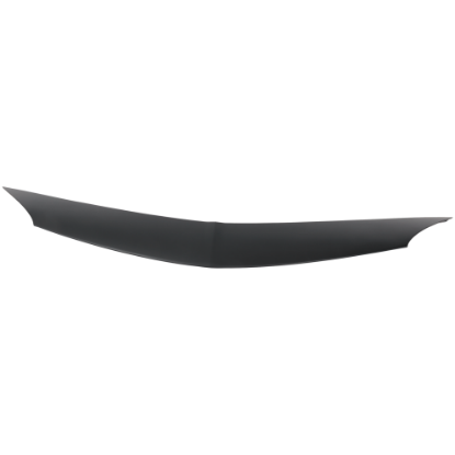 Picture of Hood Molding