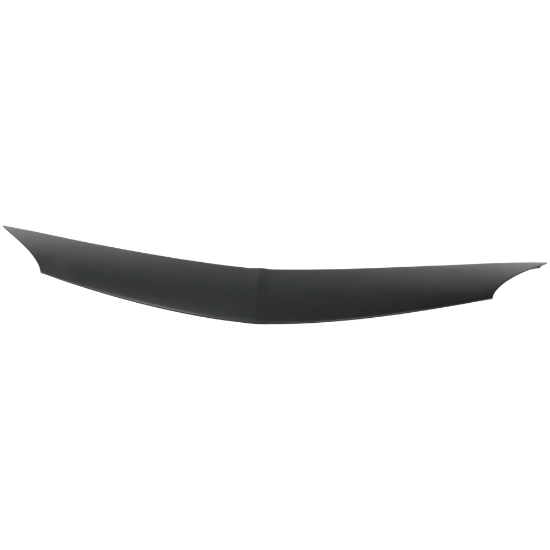 Picture of Hood Molding
