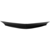 Picture of Hood Molding