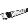 Picture of Bumper Grille