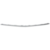 Picture of Bumper Trim