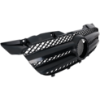 Picture of Grille Assembly