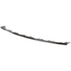 Picture of Bumper Trim