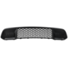 Picture of Bumper Grille