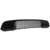 Picture of Bumper Grille