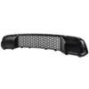 Picture of Bumper Grille