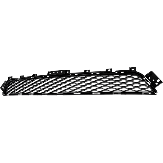 Picture of Bumper Grille