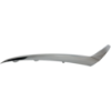Picture of Bumper Trim