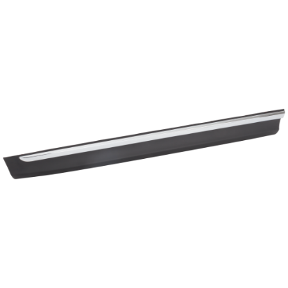 Picture of Door Molding and Beltlines