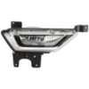 Picture of Fog Light