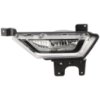 Picture of Fog Light