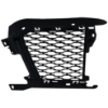 Picture of Bumper Grille