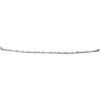 Picture of Bumper Trim