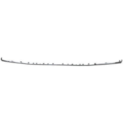 Picture of Bumper Trim
