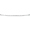 Picture of Bumper Trim