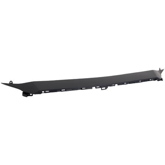 Picture of Bumper Trim