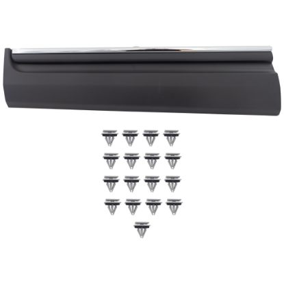 Picture of Door Molding and Beltlines