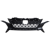 Picture of Grille Assembly