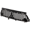 Picture of Grille Assembly