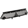 Picture of Grille Assembly