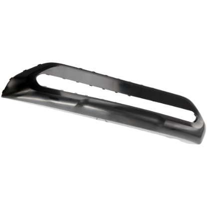 Picture of Bumper Trim
