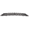 Picture of Bumper Grille