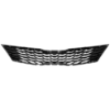 Picture of Grille Assembly