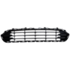 Picture of Bumper Grille