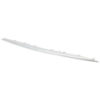Picture of Bumper Trim