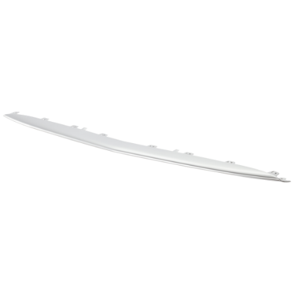 Picture of Bumper Trim