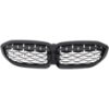 Picture of Grille Assembly
