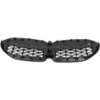 Picture of Grille Assembly