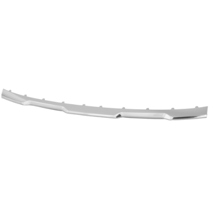 Picture of Bumper Trim