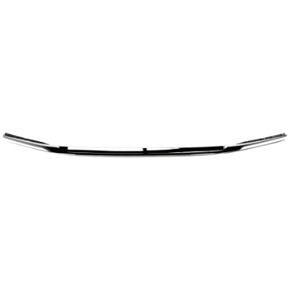 Picture of Grille Trim