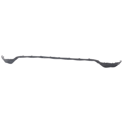 Picture of Bumper Trim