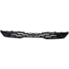 Picture of Grille Assembly