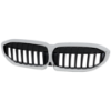 Picture of Grille Assembly