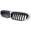 Picture of Grille Assembly