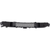 Picture of Bumper Grille
