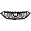 Picture of Grille Assembly