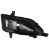 Picture of Fog Light