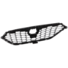 Picture of Grille Assembly