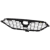 Picture of Grille Assembly