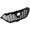 Picture of Grille Assembly