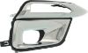 Picture of Fog Light Trim
